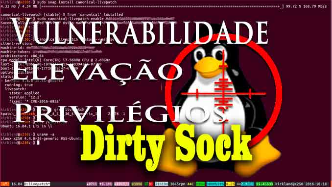 Falha de 'Dirty Sock' no snapd permite acesso root aos servidores Linux