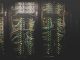 Infraestrutura de servidores e backups sob ameaça de ransomware